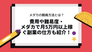 これからメダカの室内飼育を始めるあなたへ 絶対に成功する室内での繁殖ノウハウ Bad Press