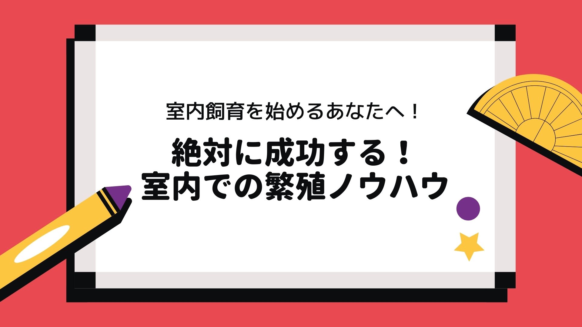 これからメダカの室内飼育を始めるあなたへ 絶対に成功する室内での繁殖ノウハウ Bad Press