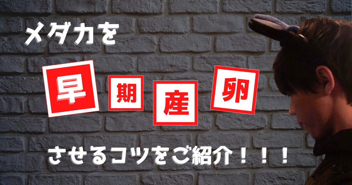 メダカを屋外で早く育て産卵まで持っていくコツ 卵から成魚まで各時期に合わせた飼育容器もご紹介 Bad Press